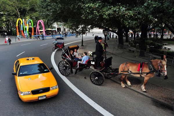 Horse and Carriage Rides in Central Park