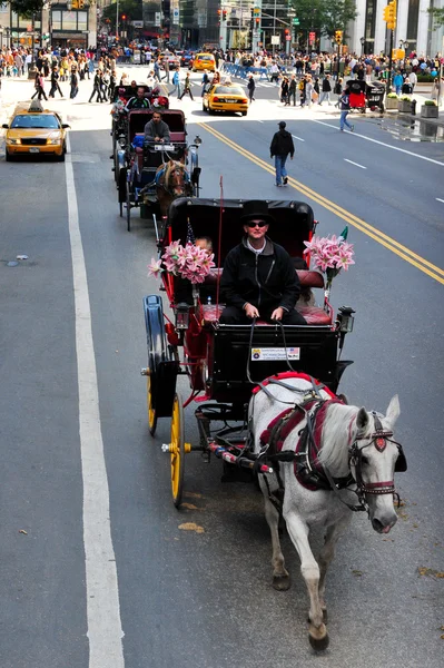 Passeios de cavalos e carruagens no Central Park — Fotografia de Stock