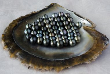 Black pearls clipart