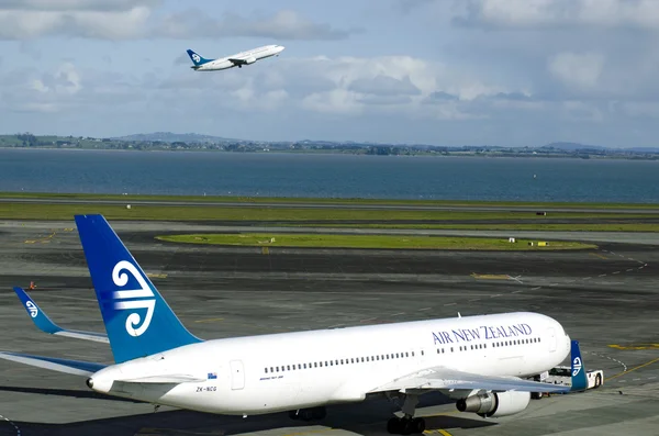 Air New Zealand — стокове фото