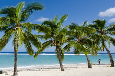 cook Adaları rarotonga Beach'te Titikaveka