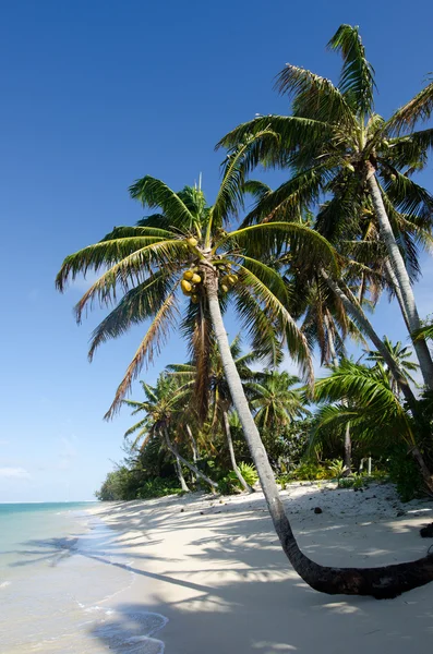 Titikaveka plaży w Wyspy Cooka rarotonga — Zdjęcie stockowe