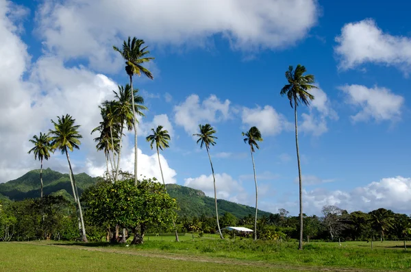 Paisagem de Rarotonga Ilhas Cook — Fotografia de Stock