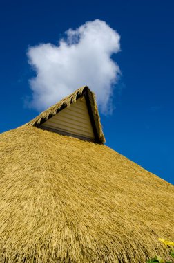 Pasifik adasında hut