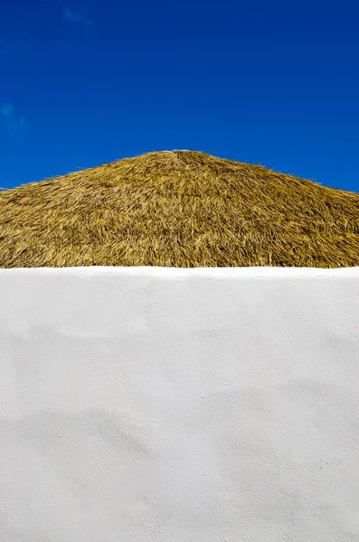 太平洋岛屿的小屋 — 图库照片