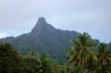 cook Adaları rarotonga te manga Dağı