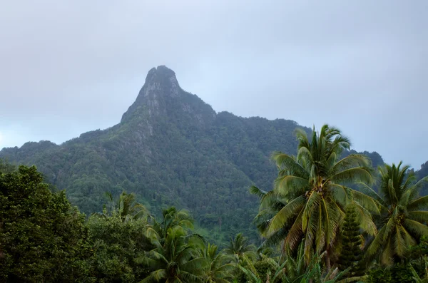 라로통가 쿡 제도에서 테 만화 산 — 스톡 사진