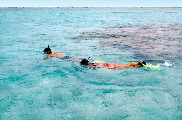 Snorkelen in aitutaki lagune Cookeilanden — Stockfoto