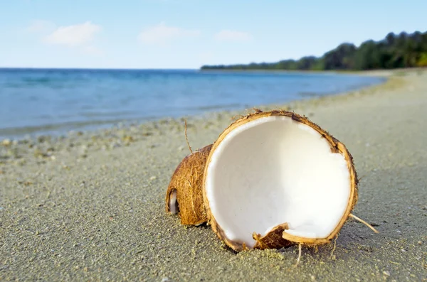 Öppnade kokos på sandiga stranden — Stockfoto