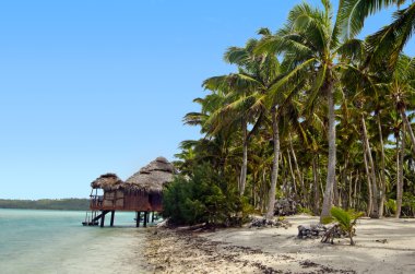 Reef bungalows tropikal mercan resif üzerinde