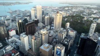 Auckland Cityscape