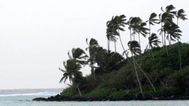 cook Adaları rarotonga gölünde Muri