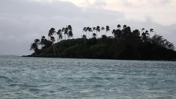 Laguna Muri en Rarotonga Islas Cook — Vídeo de stock