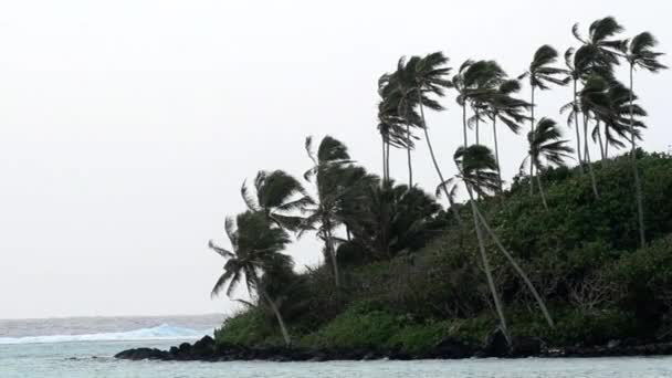 ラロトンガ島クック諸島でムリ ラグーン — ストック動画