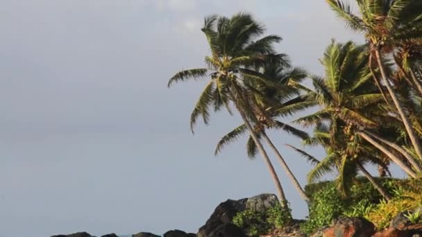 Muri-Lagune in rarotonga Kochinseln — Stockvideo