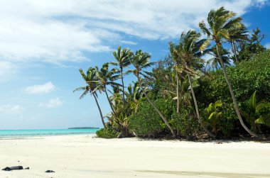 aitutaki lagün cook Adaları'rapota adasının peyzaj