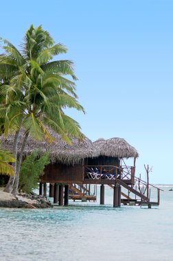 Reef bungalows tropikal mercan resif üzerinde