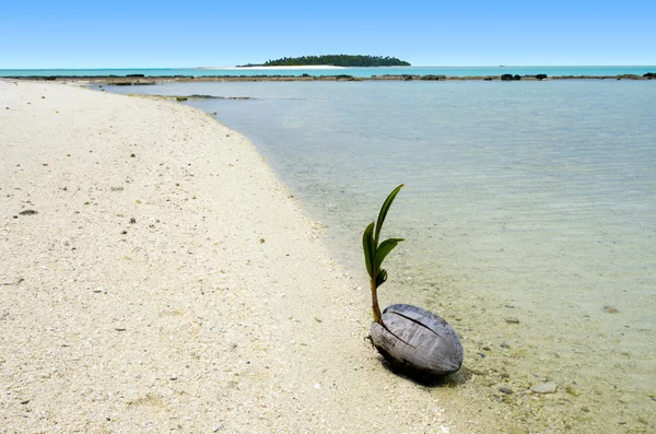 Landscape of One foot Island in Aitutaki Lagoon Cook Islands — Stock Photo, Image