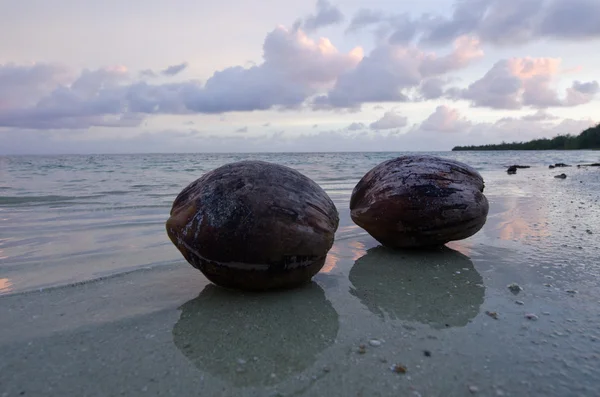 Noci di cocco sulla Laguna di Aitutaki Isole Cook — Foto Stock