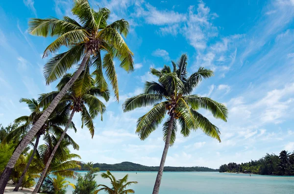 Landscape of Arutanga island in Aitutaki Lagoon Cook Islands — Stock Photo, Image