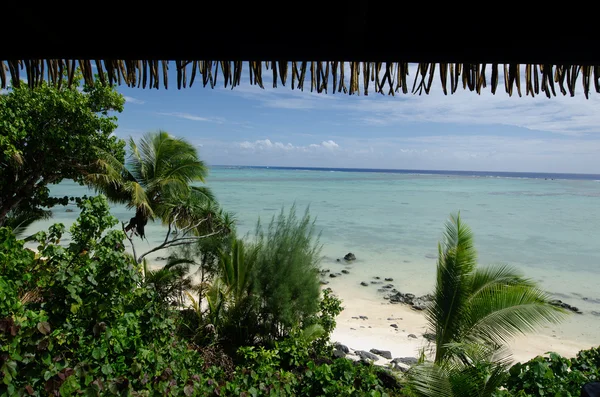 Plaj bungalov tropikal Pasifik Okyanusu Adası — Stok fotoğraf