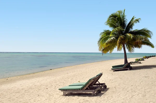 Empty beach chairs on empty tropical beach — Stock Photo, Image