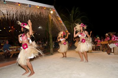 Genç Polinezya Pasifik adasında Tahiti kadın dansçı