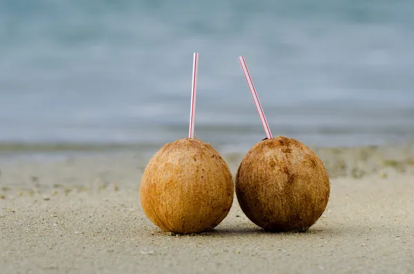 Dwa kokosy na brzegu morza piaszczyste — Zdjęcie stockowe
