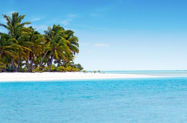 aitutaki lagün cook Adaları'nda bir ayağı ada manzara