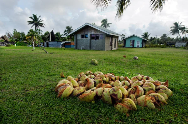 Kokosowe drzewo w Wyspy Cooka laguny aitutaki — Stockfoto