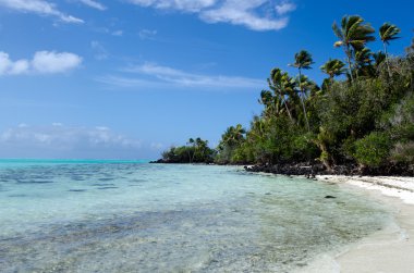 aitutaki lagün cook Adaları'rapota adasının peyzaj
