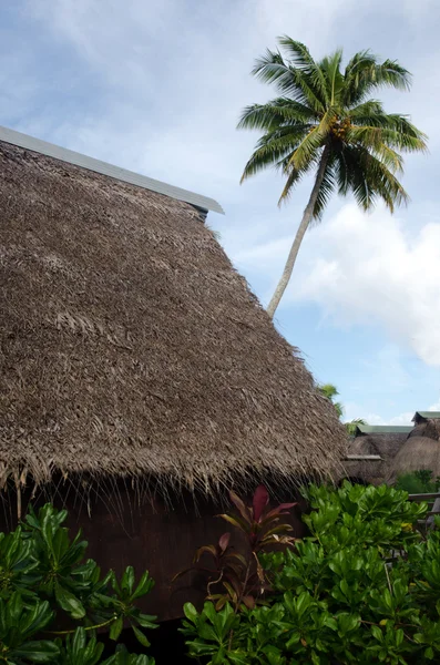 Traditional Polynesian houses in Aitutaki Lagoon Cook Islands — Stock Photo, Image