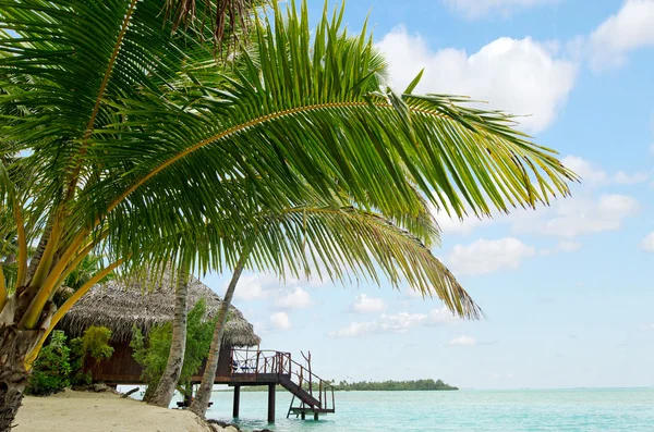 Reef Bungalows over tropical coral reef — Stock Photo, Image