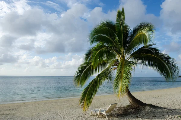 Árbol de Coco en Laguna de Aitutaki Islas Cook — Foto de Stock