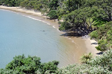 Yeni Zelanda manzara