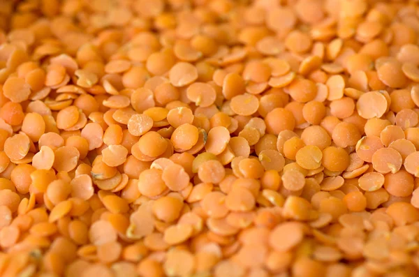 Red lentils — Stock Photo, Image