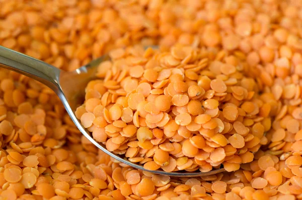 Red lentils — Stock Photo, Image