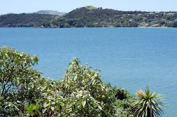 Paisaje Nueva Zelanda — Foto de Stock