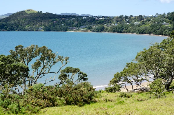 New Zealand landscape — Stock Photo, Image