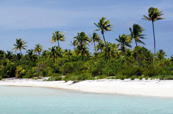 Landschap van van maina eiland in aitutaki lagune Cookeilanden — Stockfoto