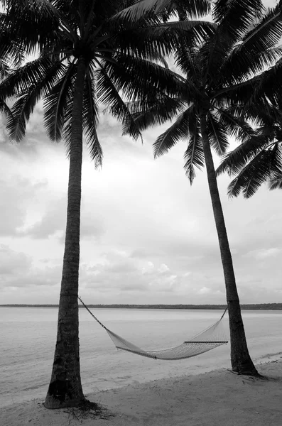 Houpací síť na kokosových palem v tropickém ostrově — Stock fotografie