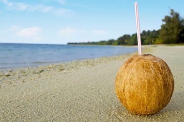 kumlu deniz kıyısında bir saman ile bir Hindistan cevizi