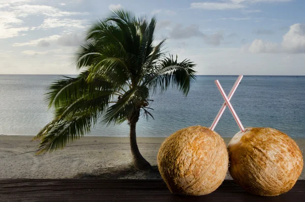 Turystyka w Wyspy Cooka laguny aitutaki — Stockfoto