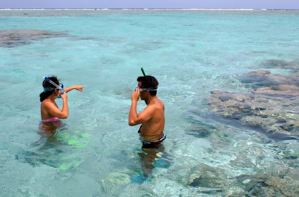 Šnorchlování v aitutaki laguny Cookovy ostrovy — Stock fotografie