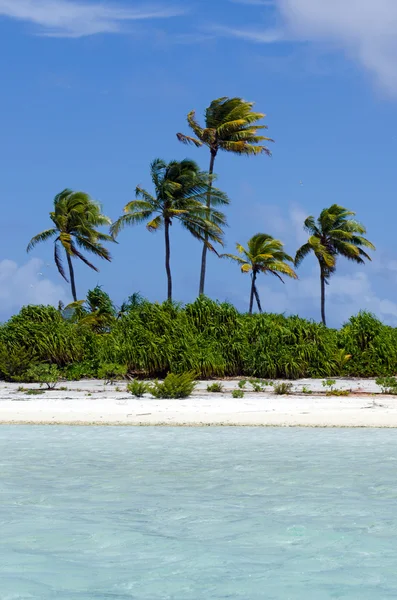 Paisagem da Ilha Maina em Aitutaki Lagoa Ilhas Cook — Fotografia de Stock