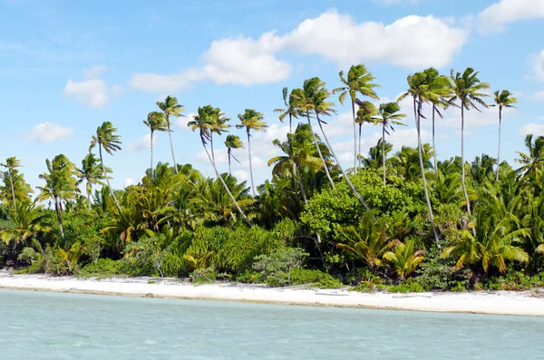 Aitutaki Lagoon Cook தீவுகளில் உள்ள மைனா தீவின் நிலப்பரப்பு — ஸ்டாக் புகைப்படம்