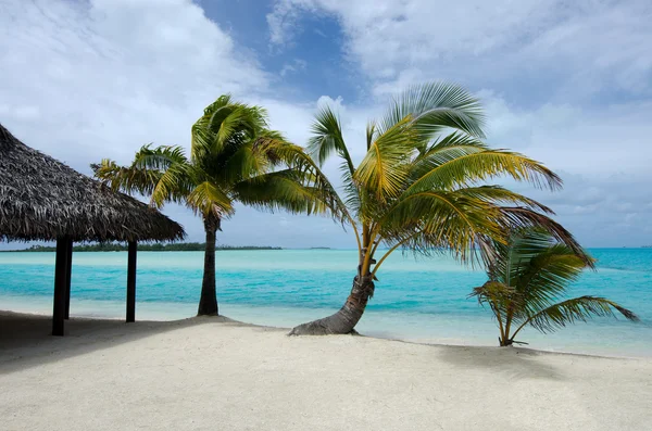 Strand bungalow op tropische Stille Oceaan eiland — Stockfoto