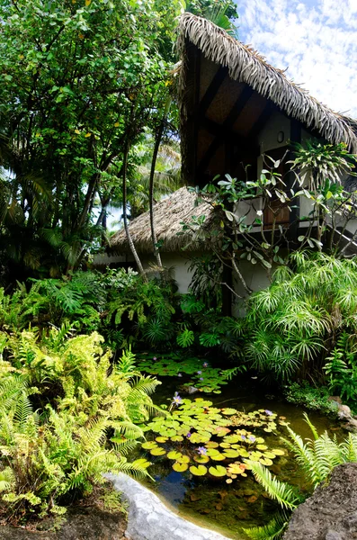 Tropikal Bahçe ile plaj bungalov — Stok fotoğraf