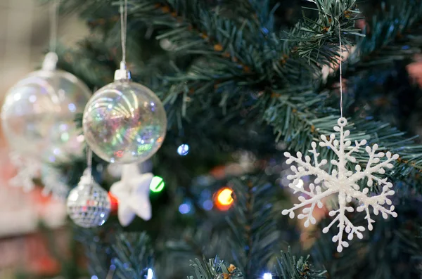 Alberi di Natale — Foto Stock