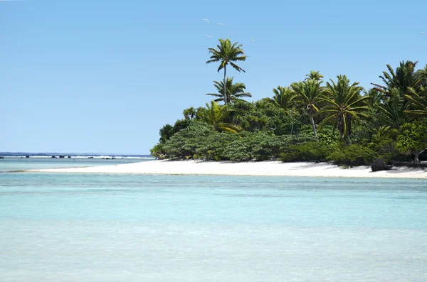 Ostrovy laguny Aitutaki — Stock fotografie